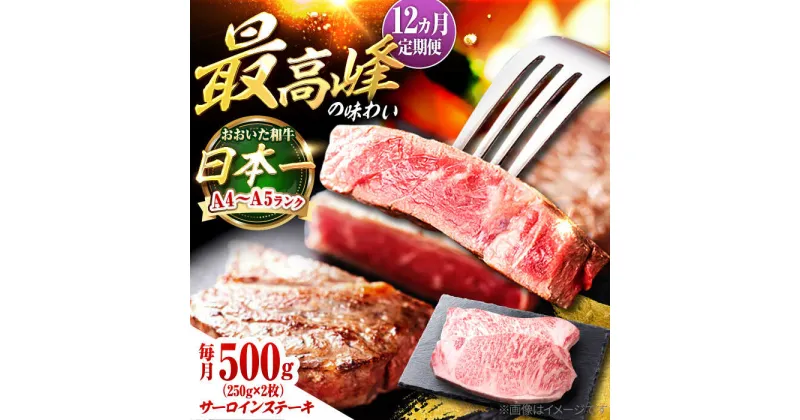 【ふるさと納税】【全12回定期便】おおいた和牛 サーロインステーキ 500g (250g×2枚) 日田市 / 株式会社OTOGINO[AREF140]