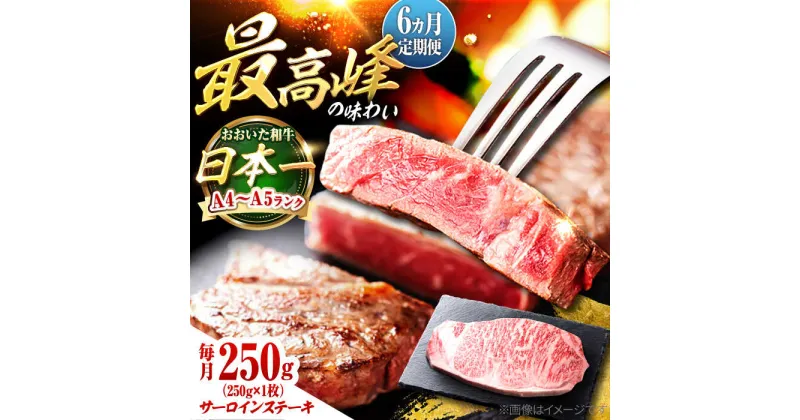 【ふるさと納税】【全6回定期便】おおいた和牛 サーロインステーキ 250g (250g×1枚) 日田市 / 株式会社OTOGINO[AREF135]