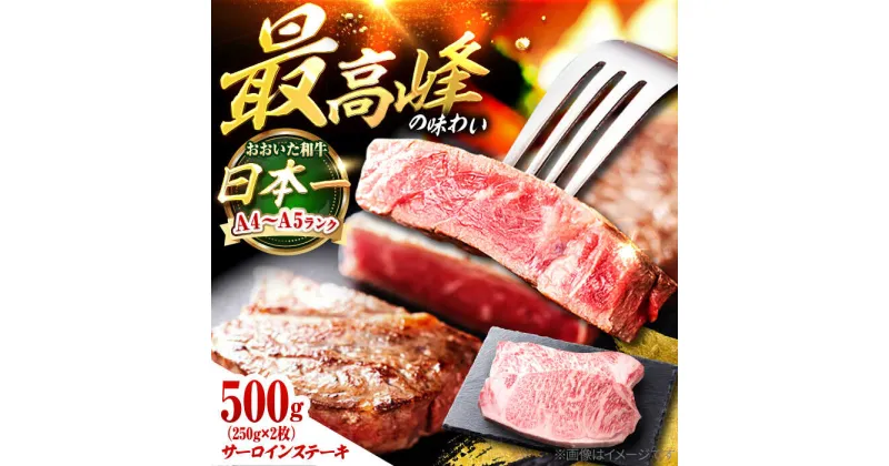 【ふるさと納税】おおいた和牛 サーロインステーキ 500g (250g×2枚) 日田市 / 株式会社OTOGINO[AREF128]