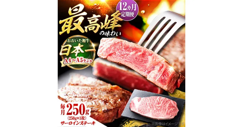 【ふるさと納税】【全12回定期便】おおいた和牛 サーロインステーキ 250g (250g×1枚) 日田市 / 株式会社OTOGINO[AREF139]