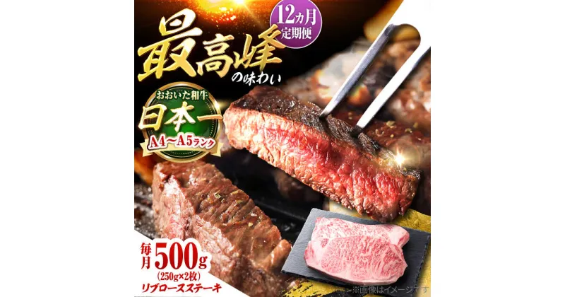 【ふるさと納税】【全12回定期便】おおいた和牛 リブロースステーキ 500g(250g×2枚) 日田市 / 株式会社OTOGINO[AREF142]