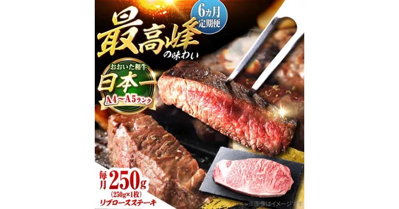 【ふるさと納税】【全6回定期便】おおいた和牛　リブロースステーキ 250g(250g×1枚) 日田市 / 株式会社OTOGINO[AREF137]