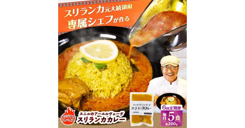 【ふるさと納税】【全6回定期便】 スニルのアーユルヴェーダ　スリランカカレー（オリジナルスパイス）200g×5食 日田市 / 株式会社OTOGINO[AREF027]