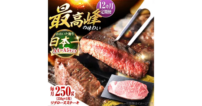 【ふるさと納税】【全12回定期便】おおいた和牛 リブロースステーキ 250g(250g×1枚) 日田市 / 株式会社OTOGINO[AREF141]