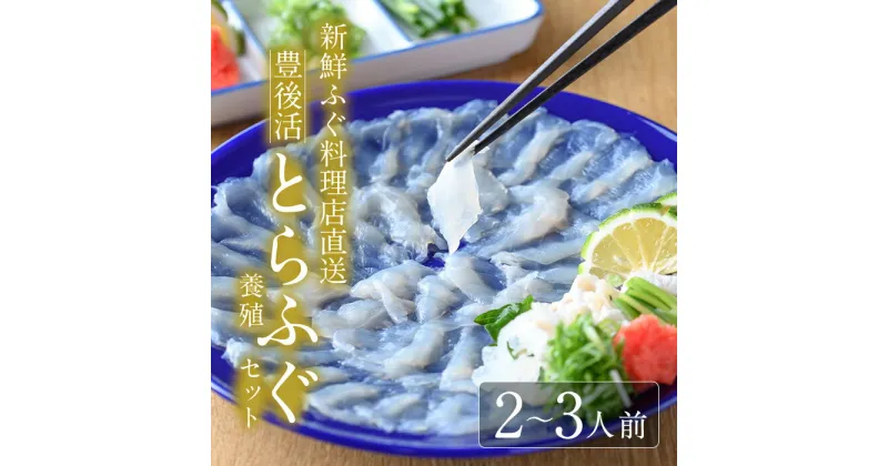 【ふるさと納税】＜着日指定必須＞新鮮ふぐ料理店直送　「豊後活とらふぐセット　養殖2-3人前」とらふぐ ふぐ フグ あら ふぐ刺し フグ刺し ふぐ刺身 フグ刺身 刺身 鮮魚 冷蔵 国産 大分県 佐伯市【HD75】【さいき本舗 城下堂】