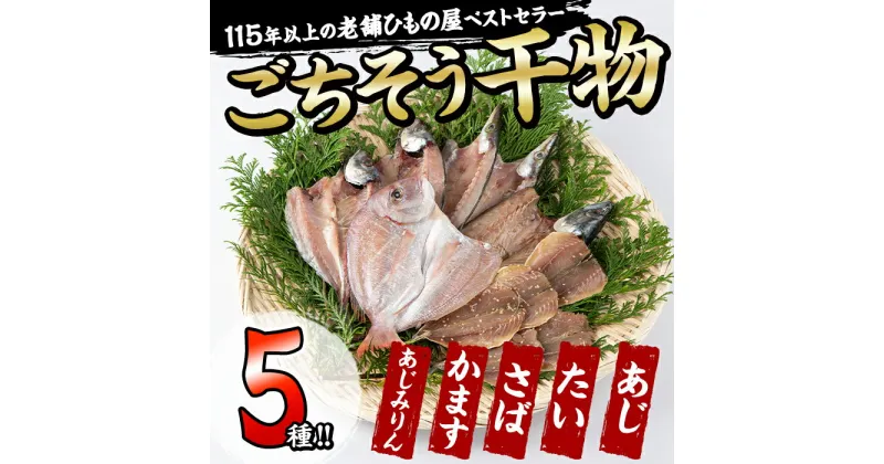 【ふるさと納税】 ごちそう干物5種セット (11尾・5種) 簡単 調理 干物 たい タイ 鯛 あじ アジ かます カマス さば サバ 丸干し 開き みりん干し 魚 海鮮 冷凍 詰め合わせ セット 大分県 佐伯市【AQ76】【(株)やまろ渡邉】