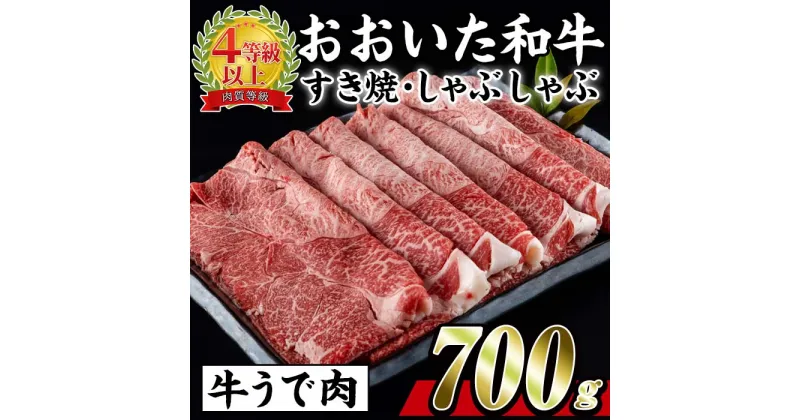 【ふるさと納税】おおいた 和牛 すき焼き しゃぶしゃぶ用 (700g・ウデ肉) 国産 豊後牛 惣菜 おかず うで肉 すき焼 鍋 百年の恵み 大分県 佐伯市【BD183】【西日本畜産 (株)】