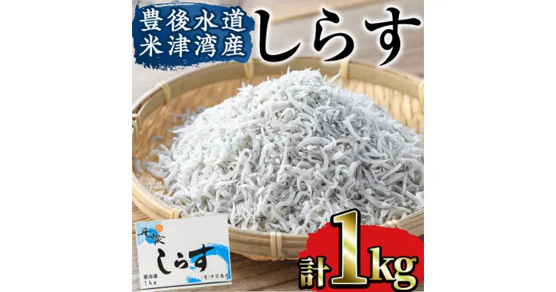 【ふるさと納税】豊後水道 米水津産 しらす (計1kg・500g×2P) 魚 小魚 魚介類 シラス おつまみ カルシウム 大分県 佐伯市 【FA01】【(有)中宮商店】