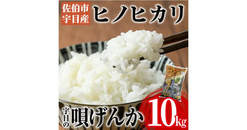 【ふるさと納税】＜令和6年産・新米＞佐伯市 宇目産 ヒノヒカリ (10kg・1袋) 国産 新米 大分県産 米 こめ お米 ご飯 ひのひかり 食卓 大分県 佐伯市【AY62】【 (公財)さいき農林公社】