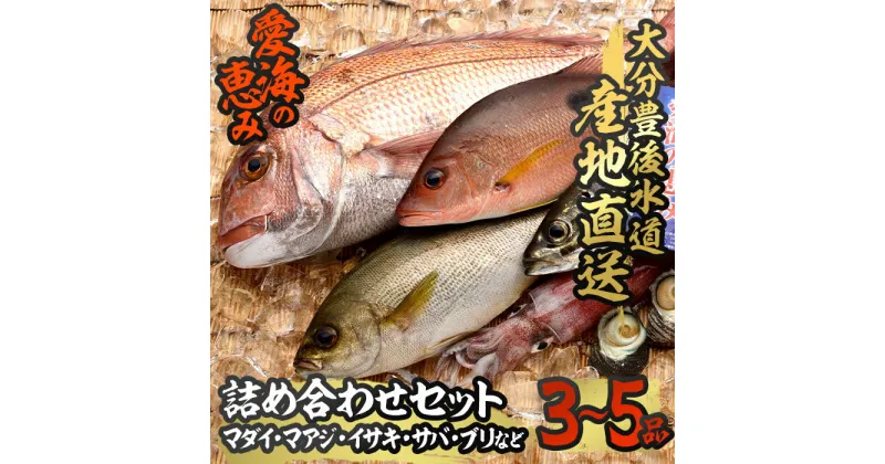 【ふるさと納税】天然 鮮魚詰め合わせ (合計約2.8-3.2kg・3種以上) 直送 産直 漁師 魚 鮮魚 天然 マダイ 鯛 マアジ 鯵 イサキ サバ 鯖 ブリ 鰤 獲れたて 刺身 煮つけ 塩焼き 冷蔵 豊後水道 鮮魚【CS01】【 (有)丸昌水産】