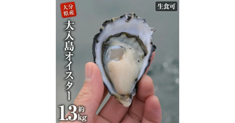 【ふるさと納税】真ガキ 大入島オイスター (約1.3kg) 牡蠣 カキ 貝 海鮮 魚介類 冷蔵 生食可 シングルシード 養殖 大分県 佐伯市【ED08】【(合)新栄丸】