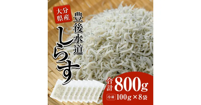 【ふるさと納税】 豊後水道産 しらす (合計800g・100g×8袋) 冷凍 しらす しらす丼 丼ぶり 魚 さかな ご飯 ごはん 炒飯 チャーハン パスタ サラダ 国産 大分県 パック 小分け 便利 大分県 佐伯市【CT08】【 (有)高橋商店】