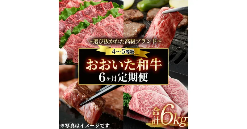 【ふるさと納税】＜定期便・全6回 (隔月)＞おおいた和牛 定期便 (総量6kg) しゃぶしゃぶ ステーキ 焼肉 すき焼き モモ サーロイン ソース付き ばら ロース ヒレ 小分け 国産 4等級 和牛 牛肉 大分県 佐伯市【DP70】【(株)まるひで】