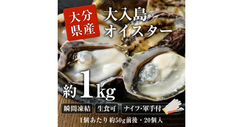 【ふるさと納税】大入島 バージン オイスター 牡蠣 約1kg (1個約50g前後・20個入) 生食可 冷凍 真牡蠣 かき 貝 かい 酒蒸し 焼き牡蠣 パスタ 国産 一口サイズ ご当地 お取り寄せ グルメ 大分県 佐伯市【ED06】【(合)新栄丸】