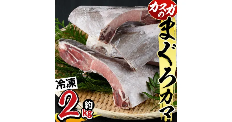 【ふるさと納税】マグロのカマ (計約2kg・400g×5P) 冷凍 マグロ メバチマグロ キハダマグロ カマ 塩焼き 酒蒸し 煮つけ バーベキュー 魚 海鮮 小分け 大分県 佐伯市【DH185】【(株)ネクサ】