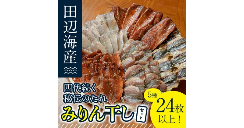 【ふるさと納税】四代続く秘伝のたれ みりん干しセット (合計5種・24枚以上) 干物 ひもの 魚 さかな 鯵 あじ 鯖 さば かます 醤油 食べ比べ おかず 国産 詰め合わせ セット 大分県 佐伯市 【FT01】【田辺海産】