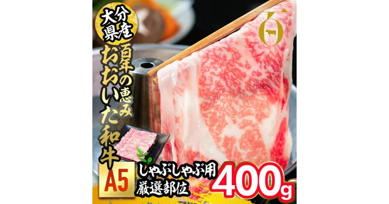 【ふるさと納税】百年の恵み おおいた和牛 A5 しゃぶしゃぶ用 厳選部位 (400g) 国産 牛肉 肉 霜降り ロース 肩ロース もも 肩 和牛 ブランド牛 しゃぶしゃぶ 冷凍 大分県 佐伯市 【FS04】【 (株)トキハインダストリー】