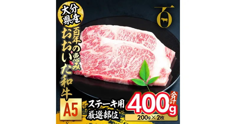 【ふるさと納税】百年の恵み おおいた和牛 A5 ステーキ用 厳選部位 (計400g・200g×2枚) 国産 牛肉 肉 霜降り ロース 肩ロース サーロイン 和牛 ブランド牛 ステーキ 冷凍 大分県 佐伯市 【FS07】【 (株)トキハインダストリー】