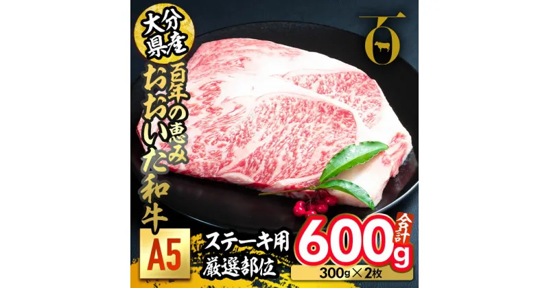 【ふるさと納税】百年の恵み おおいた和牛 A5 ステーキ用 厚切り 厳選部位 (計600g・300g×2枚) 国産 牛肉 肉 霜降り ロース 肩ロース サーロイン 和牛 ブランド牛 ステーキ 冷凍 【FS10】【 (株)トキハインダストリー】