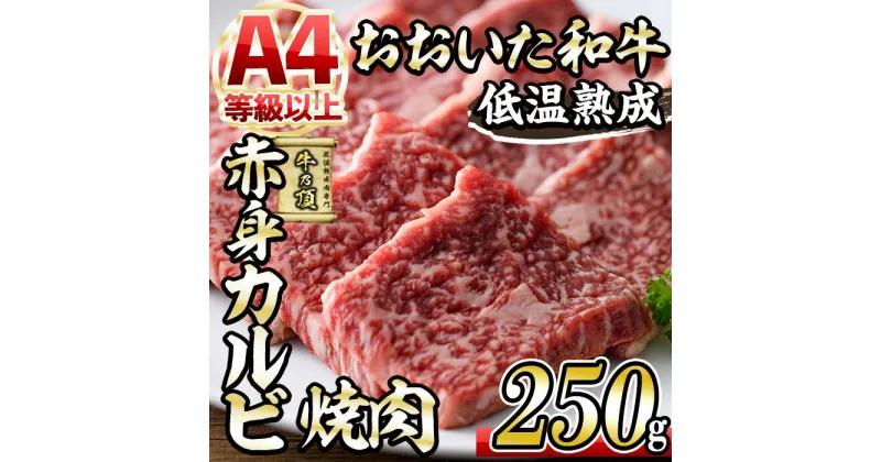 【ふるさと納税】おおいた和牛 赤身カルビ焼肉 (250g) 国産 牛肉 肉 霜降り 低温熟成 A4 和牛 ブランド牛 カルビ 焼肉 BBQ 冷凍 大分県 佐伯市【DH200】【(株)ネクサ】