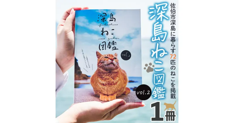 【ふるさと納税】深島ねこ図鑑vol.2 (1冊) 猫 ねこ 写真集 本 雑誌 書籍 深島 猫の島 グッズ 大分県 佐伯市 【HD68】【 さいき本舗 城下堂】