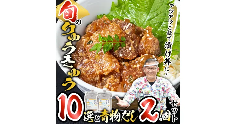 【ふるさと納税】大将の今日のおすすめ！「旬の鮮魚りゅうきゅう10選と青物だし2個セット」詰め合わせ 魚 海鮮 簡単 りゅうきゅう 漬け丼 お茶漬け だし茶漬け 醤油 調味料 加工品 【GA001】【ポートラインサービス (有)】