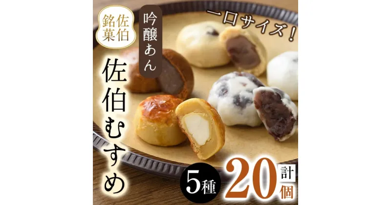 【ふるさと納税】ひとくちまんじゅう 佐伯むすめ (計20個・5種×4個) 饅頭 饅頭 ひとくち 一口 薄皮 みそ 黒糖 抹茶 チーズ スイーツ お菓子 おやつ 焼き菓子 和菓子 詰め合わせ 個装 常温 大分県 佐伯市【AG95】【 (株)お菓子のウメダ】