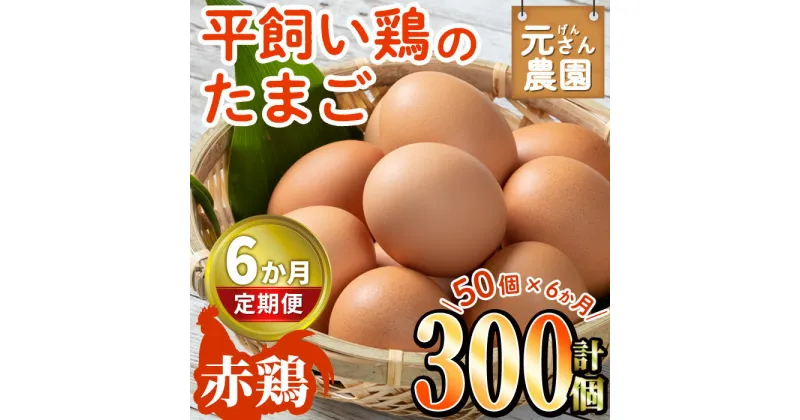 【ふるさと納税】＜定期便・全6回 (連続)＞平飼い赤鶏のたまご (総量300個・S-Mサイズ50個×6回) 元さん農園 卵 玉子 卵かけご飯 玉子焼き 平飼い 鶏 鶏卵 養鶏場直送 朝採れ 新鮮 大分県 佐伯市 【GE006】【 (株)海九】