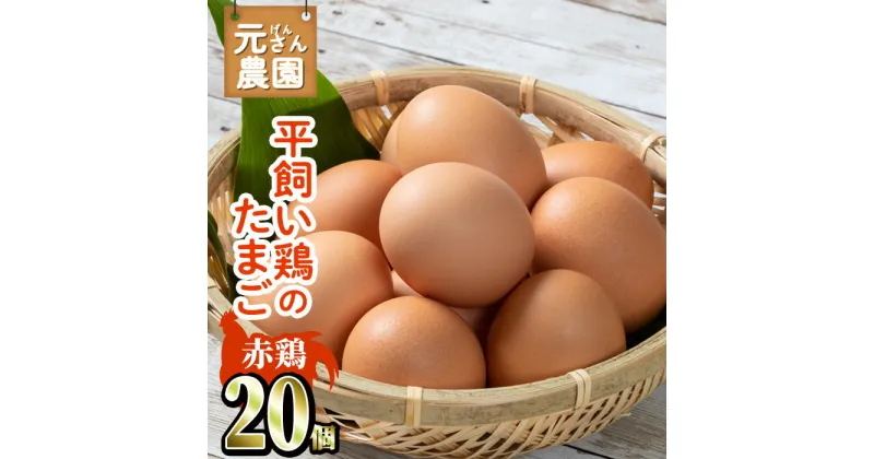 【ふるさと納税】元さん農園 平飼い赤鶏のたまご (計20個・10個×2P) 元さん農園 卵 玉子 卵かけご飯 玉子焼き 平飼い 鶏 鶏卵 養鶏場直送 朝採れ 新鮮 大分県 佐伯市 【GE001】【 (株)海九】