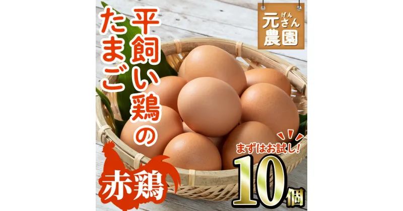 【ふるさと納税】＜お試し用＞ 平飼い赤鶏のたまご (計10個) 元さん農園 卵 玉子 卵かけご飯 玉子焼き 平飼い 鶏 鶏卵 養鶏場直送送 朝採れ 新鮮 大分県 佐伯市 【GE002】【 (株)海九】