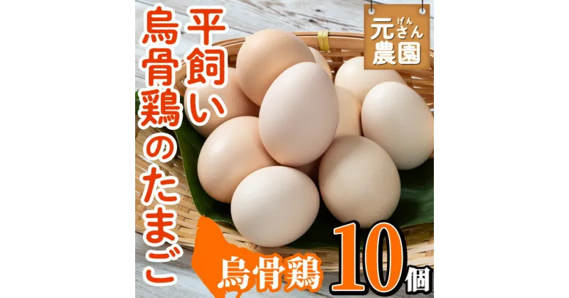 【ふるさと納税】平飼い烏骨鶏のたまご (計10個) 元さん農園 卵 玉子 卵かけご飯 玉子焼き 平飼い 鶏 鶏卵 養鶏場直送 朝採れ 新鮮 大分県 佐伯市 【GE003】【 (株)海九】