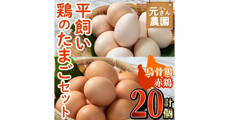 【ふるさと納税】平飼い鶏のたまごセット (合計20個・烏骨鶏たまご10個・赤鶏たまご10個) 元さん農園 卵 玉子 卵かけご飯 玉子焼き 平飼い 鶏 鶏卵 養鶏場直送 朝採れ 新鮮 大分県 佐伯市 【GE004】【 (株)海九】