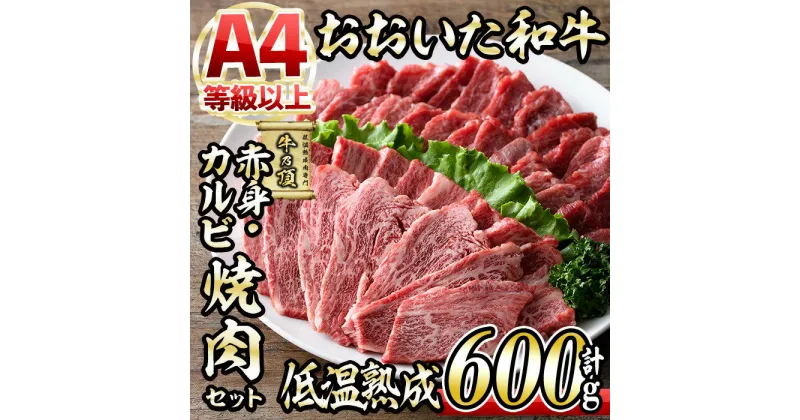 【ふるさと納税】おおいた和牛 特選 焼肉 セット (合計600g・赤身300g+カルビ300g) 国産 牛肉 肉 霜降り 低温熟成 A4 和牛 ブランド牛 カルビ BBQ 冷凍 大分県 佐伯市【DH214】【(株)ネクサ】