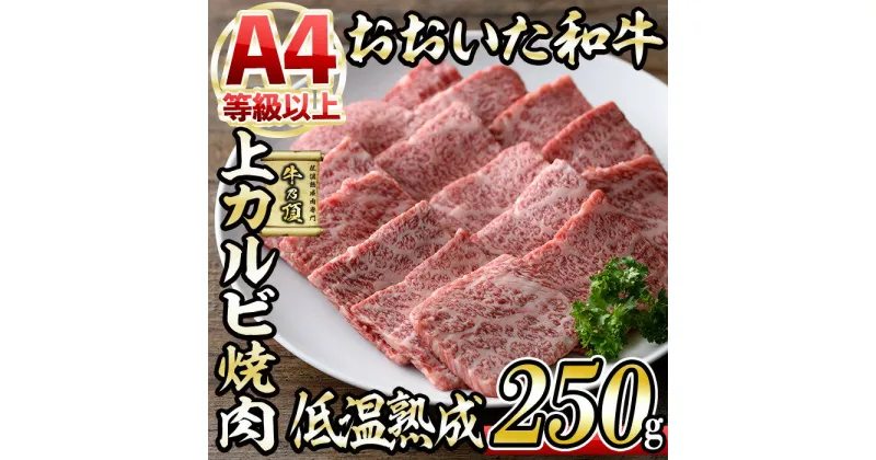 【ふるさと納税】おおいた和牛 上カルビ 焼肉 (250g) 国産 牛肉 肉 霜降り 低温熟成 A4 和牛 ブランド牛 カルビ BBQ 冷凍 大分県 佐伯市【DH219】【(株)ネクサ】