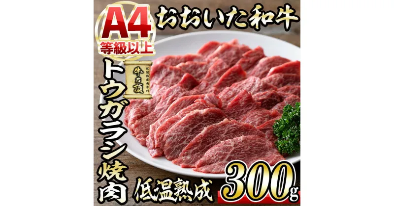 【ふるさと納税】おおいた和牛 トウガラシ 焼肉 (300g) 国産 牛肉 肉 霜降り 低温熟成 A4 和牛 ブランド牛 BBQ 冷凍 大分県 佐伯市【DH221】【(株)ネクサ】