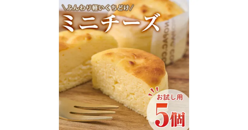 【ふるさと納税】＜お試し用＞濃厚チーズケーキ (計5個) チーズケーキ チーズ スイーツ 冷凍 お菓子 おやつ 焼き菓子 お取り寄せ 大分県 佐伯市【AJ74】【(有)ケーキ大使館クアンカ・ドーネ】