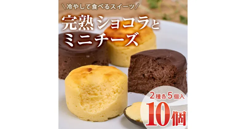 【ふるさと納税】濃厚ショコラ・チーズケーキ (合計10個・2種×5個) チーズケーキ チーズ スイーツ 冷凍 お菓子 おやつ 焼き菓子 お取り寄せ 大分県 佐伯市【AJ75】【(有)ケーキ大使館クアンカ・ド－ネ】