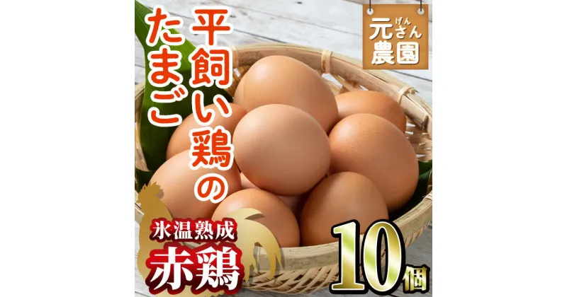 【ふるさと納税】＜氷温熟成＞平飼い赤鶏のたまご 黄嬉 (計10個) 元さん農園 卵 玉子 卵かけご飯 玉子焼き 平飼い 鶏 鶏卵 養鶏場直送 朝採れ 新鮮 大分県 佐伯市 【GE007】【 (株)海九】