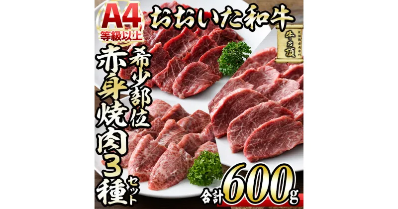 【ふるさと納税】おおいた和牛 希少部位 赤身 焼肉 セット (合計600g・ヒレ200g+ミスジ200g+ランプ200g) 国産 牛肉 肉 霜降り 低温熟成 A4 和牛 ブランド牛 BBQ 冷凍 大分県 佐伯市【DH235】【(株)ネクサ】