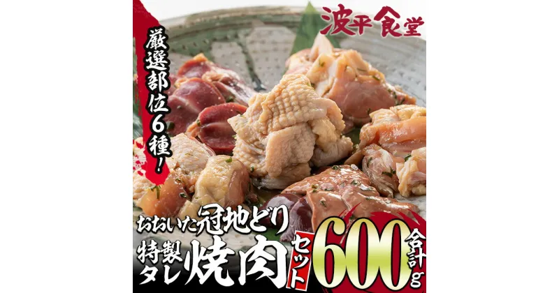 【ふるさと納税】おおいた 冠地どり 厳選部位 6種 食べ比べ 特製 塩麹もみだれ 焼肉セット (合計600g・6種×各100g) 国産 大分県産 鶏肉 もも 砂肝 羽衣 軟骨 皮 レバー 小分け 冷凍 おつまみ 詰め合わせ 【FZ002】【波平食堂】