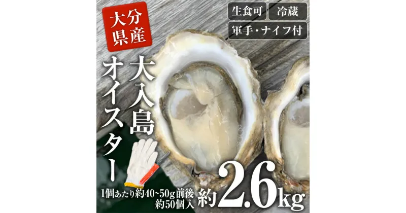 【ふるさと納税】真ガキ 大入島オイスター (約2.6kg) 牡蠣 カキ 貝 海鮮 魚介類 冷蔵 生食可 シングルシード 養殖 大分県 佐伯市【ED09】【(合)新栄丸】