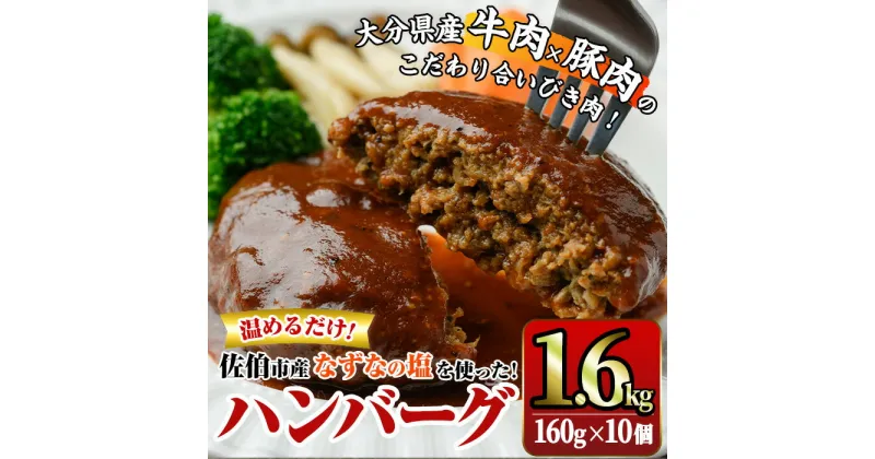 【ふるさと納税】佐伯市の「なずなの塩」使用 !大分の恵みハンバーグ (計約1.6kg・160g×10個) ハンバーグ 冷凍ハンバーグ 合い挽き 小分け 個包装 簡単 湯せん 温めるだけ 冷凍 レトルト おかず 惣菜 【DT05】【全国農業協同組合連合会大分県本部】