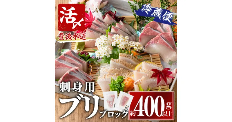 【ふるさと納税】ブリ 刺身用 ブロック 冷蔵(約400-500g・4-5人前) ブリ 鰤 ぶり 神経締め 獲れたて 鮮魚 ブロック 刺身 冷蔵 海の直売所 大分県 佐伯市【AS131】【海べ (株)】