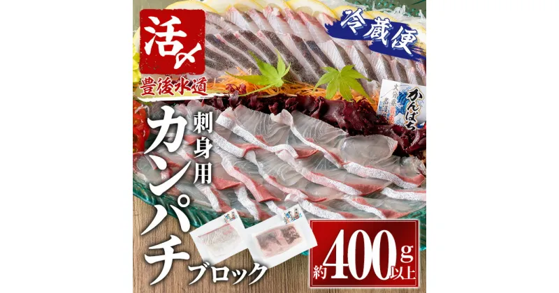 【ふるさと納税】カンパチ 刺身用 ブロック 冷蔵(約400-500g・4-5人前) カンパチ かんぱち 神経締め 獲れたて 鮮魚 ブロック 刺身 冷蔵 海の直売所 大分県 佐伯市【AS132】【海べ (株)】