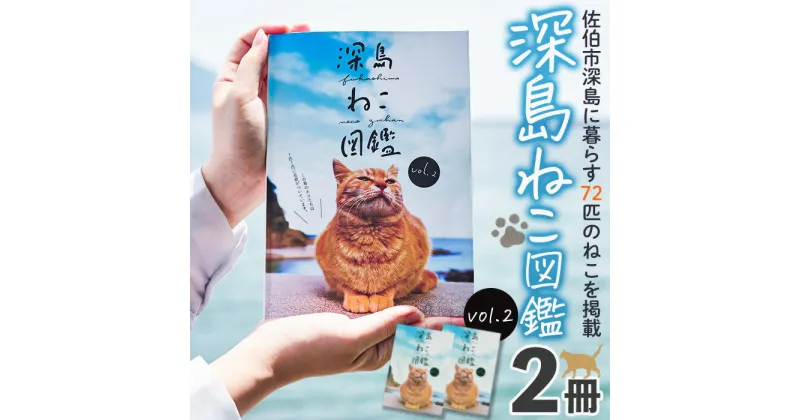 【ふるさと納税】深島ねこ図鑑vol.2 (2冊) 猫 ねこ 写真集 本 雑誌 書籍 深島 猫の島 グッズ 大分県 佐伯市 【HD67】【さいき本舗 城下堂】