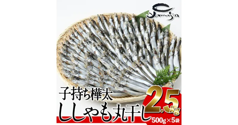 【ふるさと納税】子持ち樺太ししゃも丸干し (計2.5kg・500g×5袋) 干物 ししゃも シシャモ 丸干し 魚 海鮮 冷凍 大分県 佐伯市【AP83】【(株)ヤマジン】