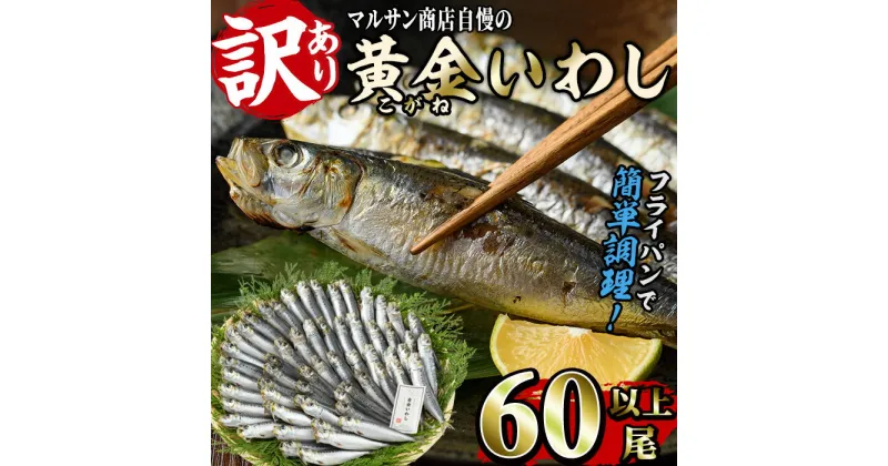 【ふるさと納税】＜訳あり＞黄金いわし (60尾以上) 黄金 いわし イワシ 丸干し 魚 海鮮 冷凍 おつまみ 小分け【GX002】【(有)マルサン商店】