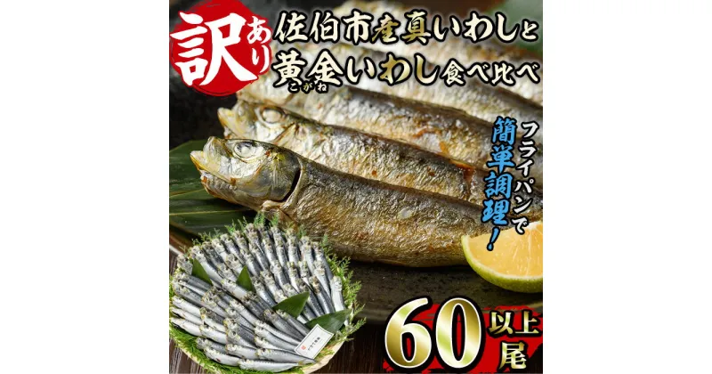 【ふるさと納税】＜訳あり＞佐伯市産真いわしと黄金いわし 食べ比べ (2種・60尾以上) 国産 大分県産 イワシ 黄金いわし 丸干し 魚 海鮮 冷凍 おつまみ 小分け【GX003】【(有)マルサン商店】