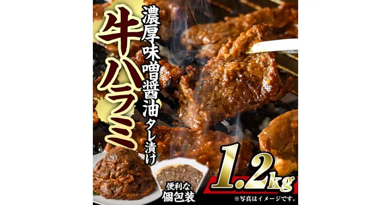 【ふるさと納税】濃厚味噌醤油 タレ漬け牛ハラミ(サガリ)肉 小分け 個包装で便利！ (合計1.2kg・300g×4p) 牛肉 焼くだけ 簡単 焼肉 焼き肉 やきにく 厚切り 肉厚 冷凍 BBQ 希少部位 【BD300】【西日本畜産 (株)】