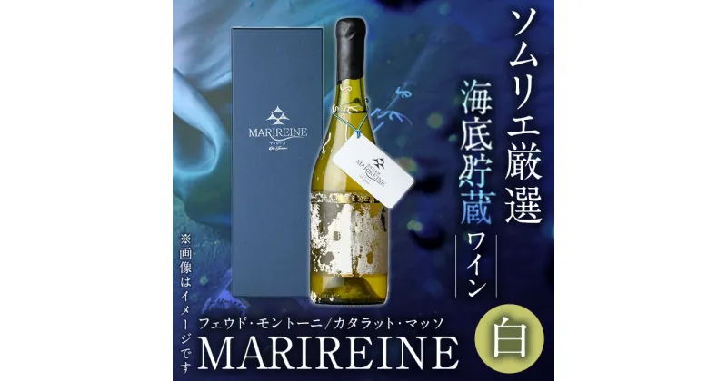 【ふるさと納税】海底貯蔵ワイン 白 MARIREINE 2021 フェウドモントーニ (750ml・ギフト箱入り) イタリア ワイン 白ワイン 酒 パーティー 海底酒 熟成 マリレーヌ 大分県 佐伯市【FP015】【フルタ酒店】